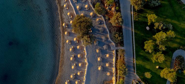 安达巴鲁特系列 - 超级全包(Anda Barut Collection – Ultra All Inclusive)图片