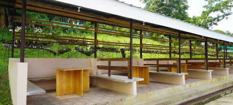 隐谷有机农庄度假村(Hidden Valley Organic Farm Resort)图片