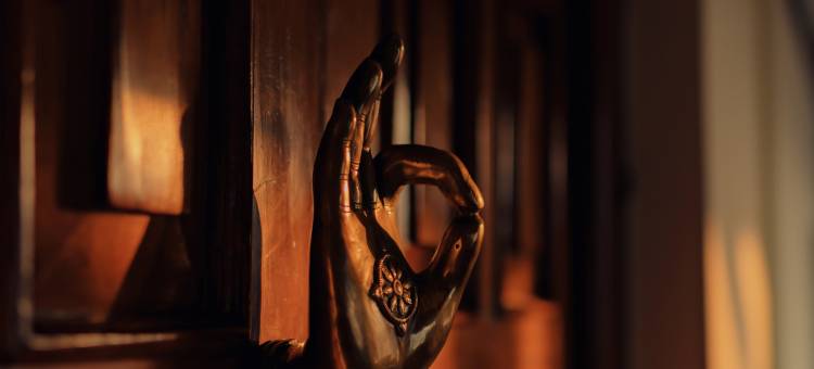 德瓦里卡酒店(The Dwarika's)图片