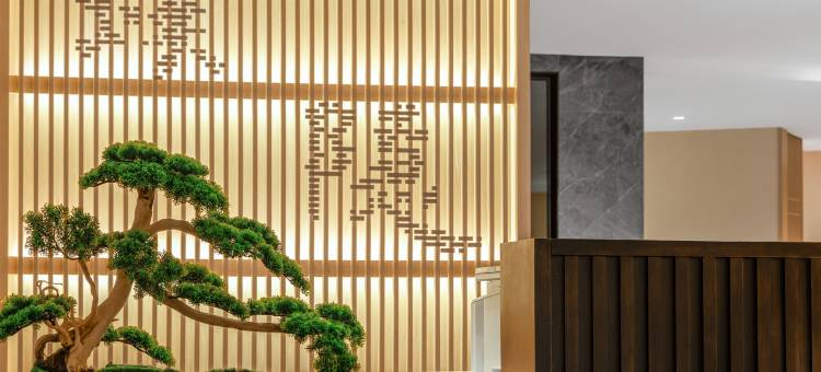 乌鲁木齐建国璞隐酒店(高铁站北广场万达店)图片