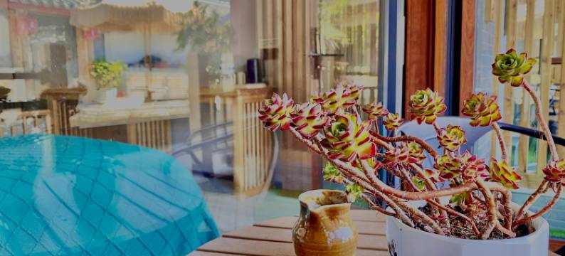 山海十年星空花园美宿·溪苑·雪山观景院(束河古镇店)图片