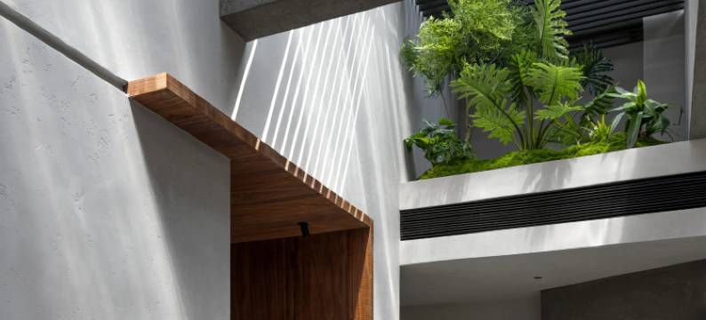 南澳长时星宿图片