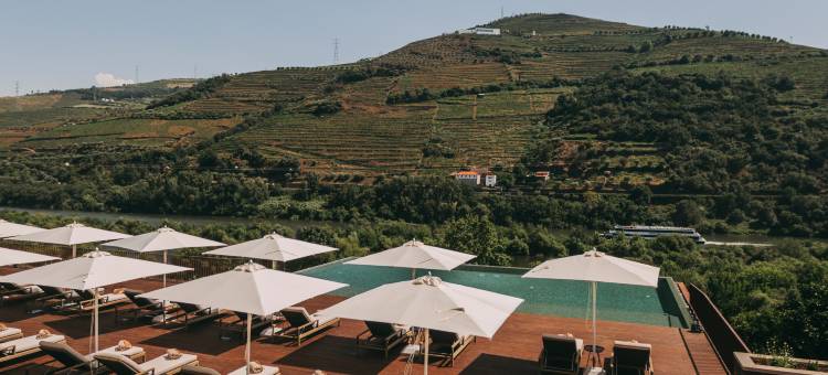Torel Quinta da Vacaria - 杜罗河谷(Torel Quinta da Vacaria – Douro Valley)图片