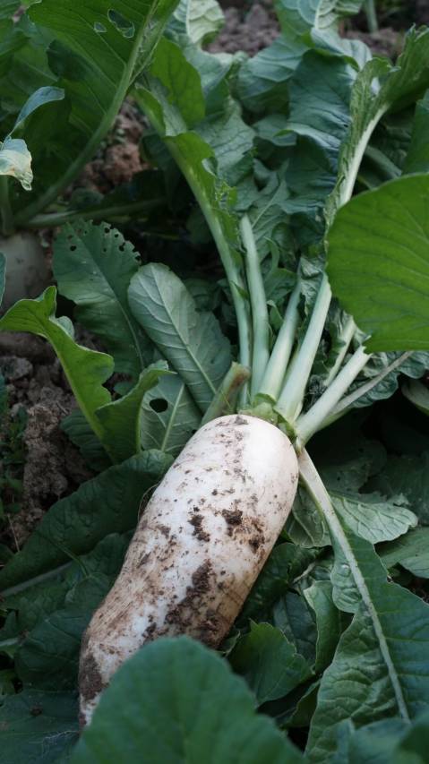 大乐之野(桐庐店)图片