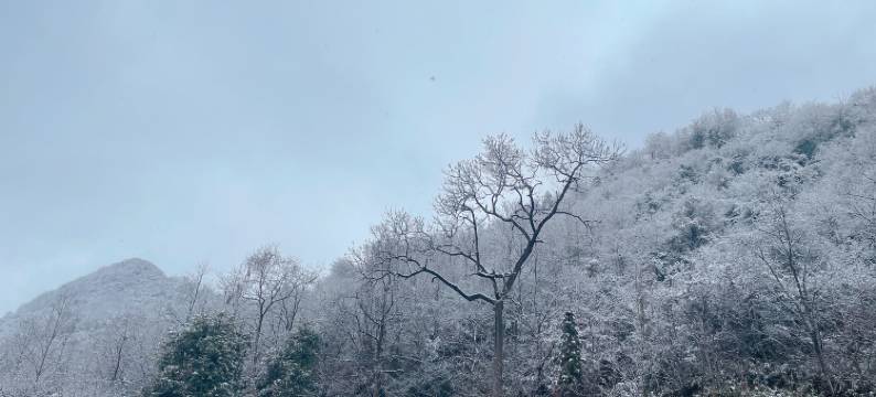 瓮安迎宾馆(瓮安县政府店)图片