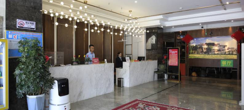 龙马大酒店(山南市政府店)图片