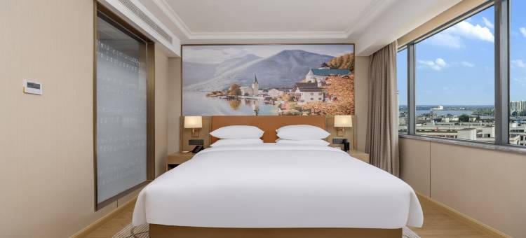 维也纳酒店(澄迈金江店)图片