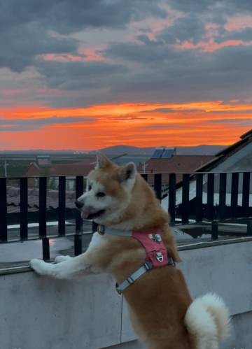 丰宁呆呆民宿图片