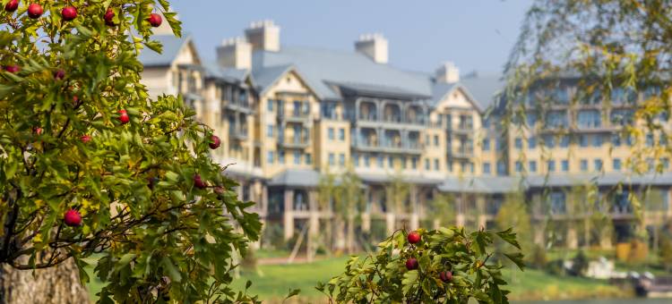 文安鲁能希尔顿酒店图片