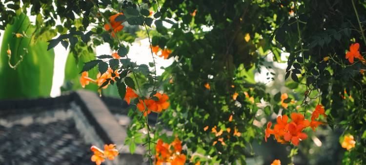 扬州晚清珍园酒店(文昌阁东关街店)图片