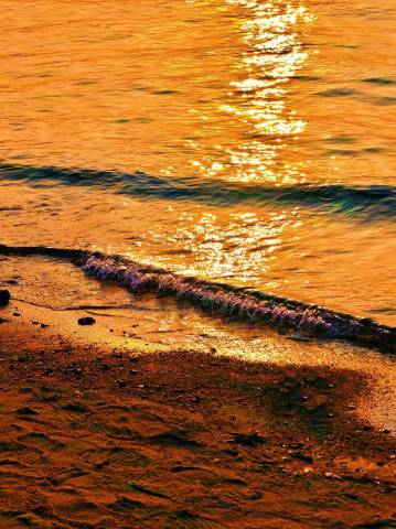 圈圈里·花园度假MUSICAT美宿(较场尾大鹏所城店)图片