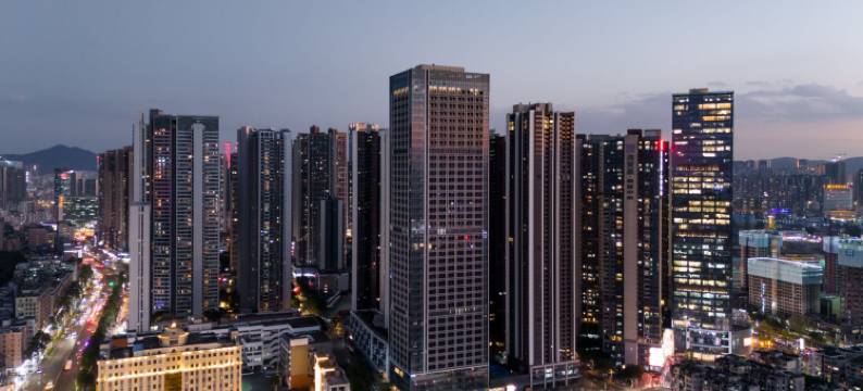 深圳壹城花园酒店(壹方天地购物中心龙华地铁站店)图片