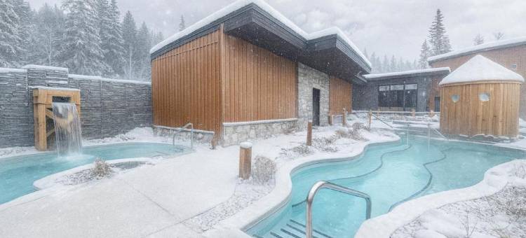 Everwild北欧Spa酒店(Everwild Nordic Spa & Hotel)图片