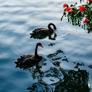 爱立斯水善坊｜HONORABLEINCOMPARADBLE酒店(北京路省人民医院店)图片