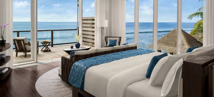 纳拉杜私人岛屿马尔代夫(Naladhu Private Island Maldives)图片