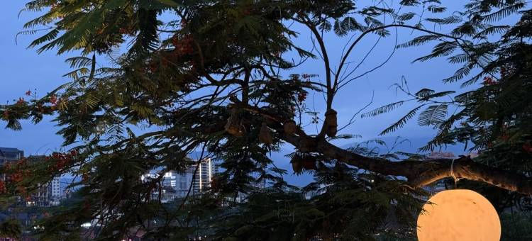 隐珏｜畔山VILLA野奢酒店图片