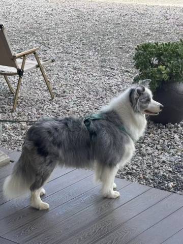 栖海听风客栈(泸沽湖大落水村店)图片