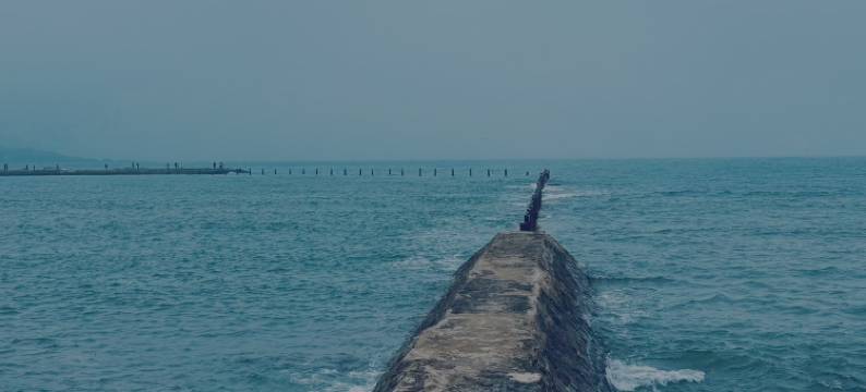 花筑·青岛梦之船海景酒店图片