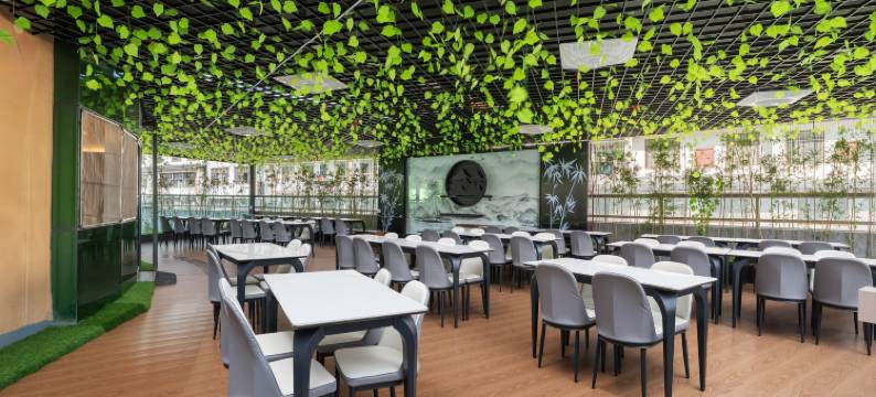 巴马寿乡国际大酒店(寿乡文化广场店)图片