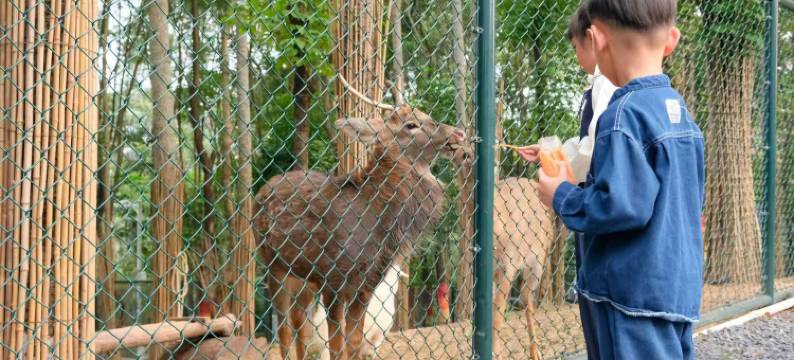 南宁五象山庄图片
