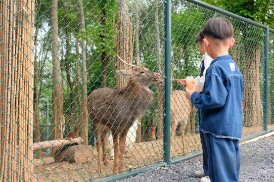 南宁五象山庄图片