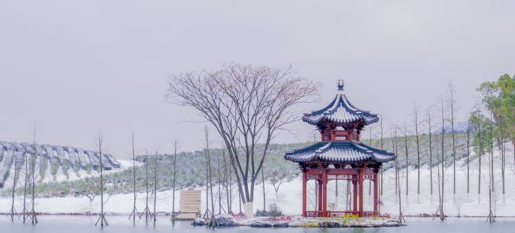 常州紫云玄清酒店图片