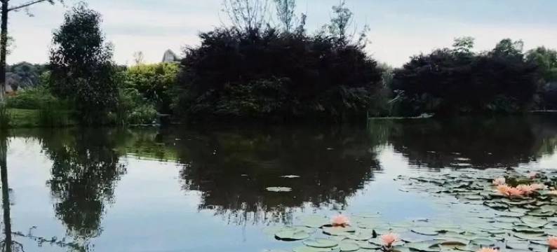 仙鹤湖·鹤鸣山居民宿(贺胜桥东站店)图片