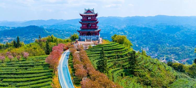 仙山酒店图片