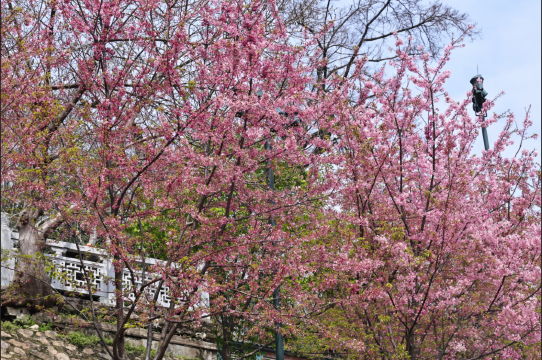 武汉汉阳威斯汀酒店图片