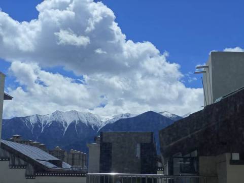 麗枫酒店(林芝工布天街林海公园店)图片