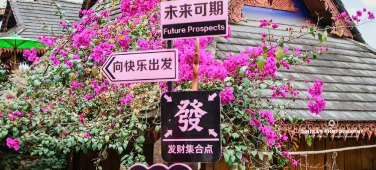 筑巢美宿图片