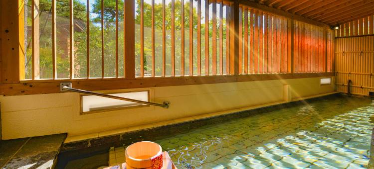 大江户温泉物语新光酒店(Ooedo Onsen Monogatari Hotel Shinko)图片