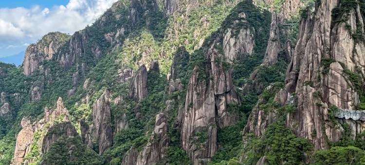 依山傍水·Forest Whisper｜自然美学民宿(三清山港首索道店)图片