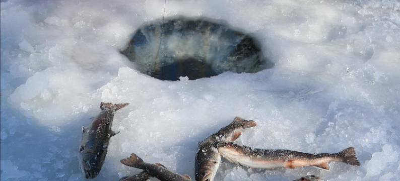 长白山双溪森林营地图片