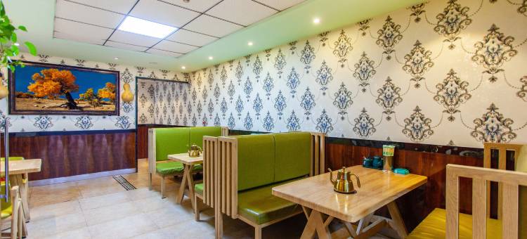 红宝石雅致酒店(乌鲁木齐天山国际机场店)图片