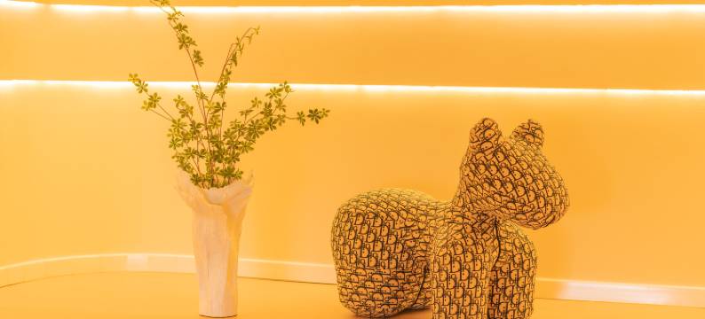 随州隐居观景美宿酒店图片