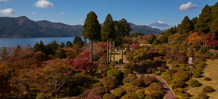 小田急山之酒店(Odakyu Hotel de Yama)图片