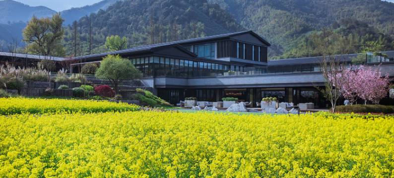 安吉柏翠姚良度假酒店图片