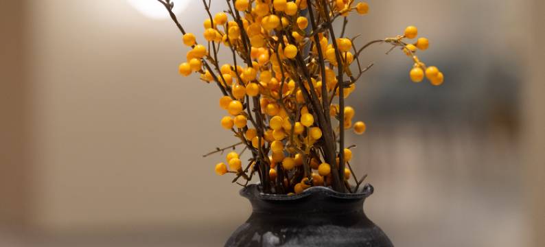 屯昌香山云森酒店图片