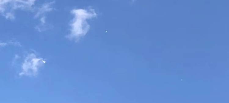杨家堂伴山民宿图片