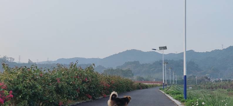 广州田心客舍图片