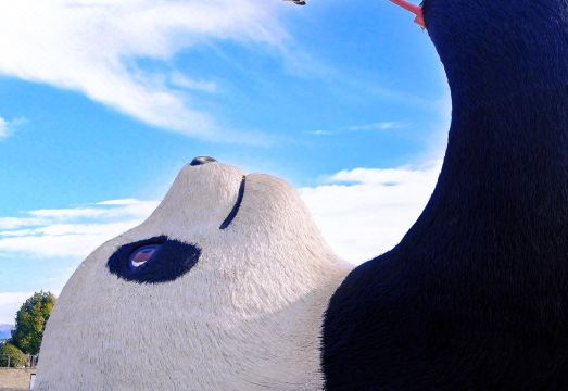 Mengqi Hotel (Chengdu Shuangliu International Airport Baijia Market Branch)Hotel Overview