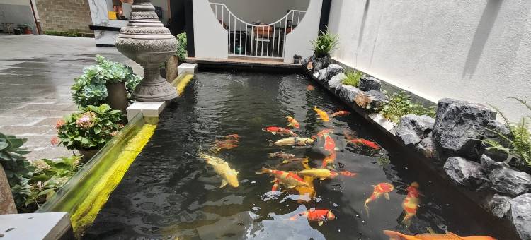 蓝枫民宿(傣族古镇店)图片