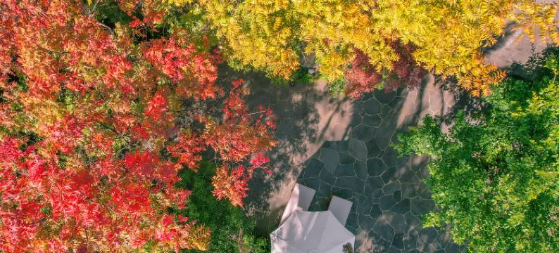 昆明柏联酒店附属楼酒店图片