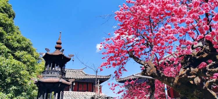 纳雅阁·LIJIANG庭院花园酒店(丽江古城大水车店)图片