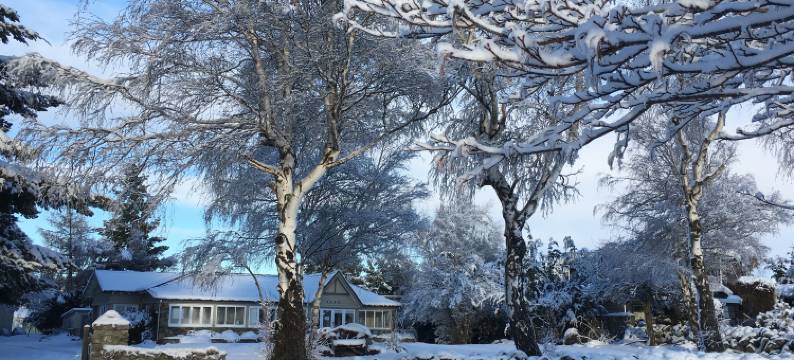 特卡波1929 度假庄园(Tekapo1929 Lakefront Villa)图片