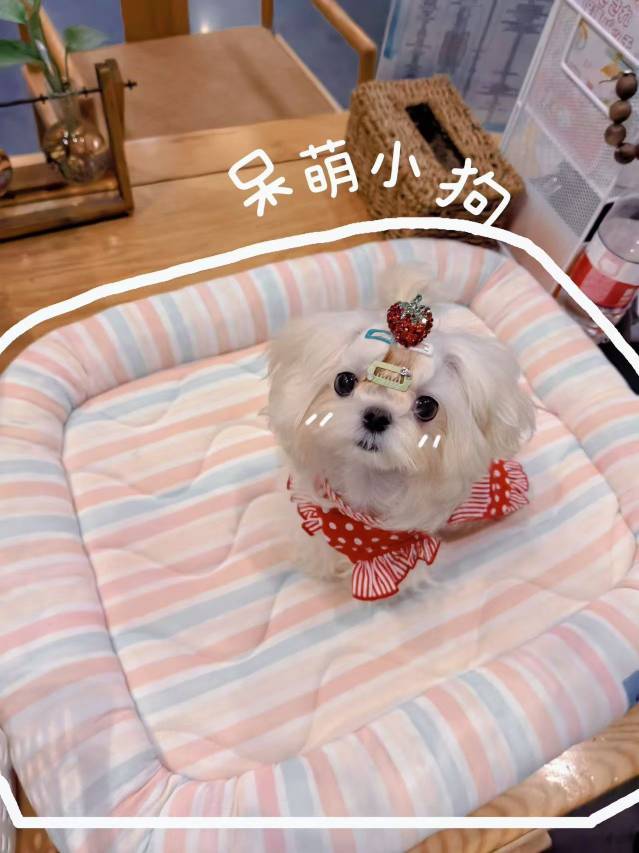 南浔云栖澜亭民宿图片