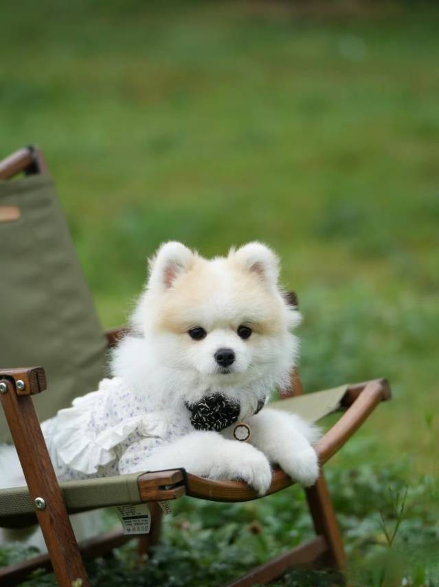 汉上·观山别院民宿图片