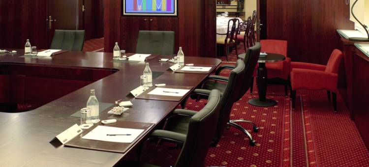 马德里机场假日铂尔曼酒店(Pullman Madrid Airport & Feria)图片