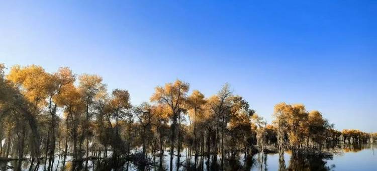 城市假日酒店(华山二中店)图片